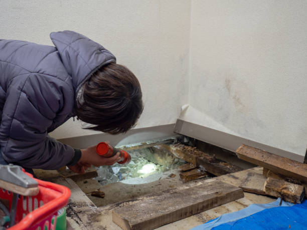 Best Air Quality Testing for Mold Spores  in Glendale, AZ